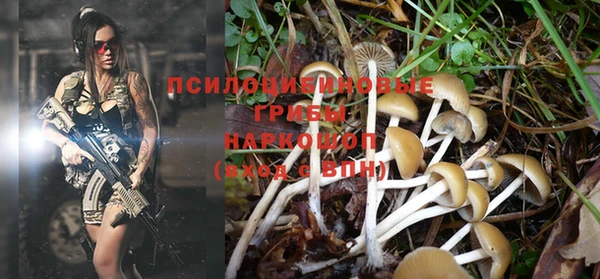 скорость Сатка
