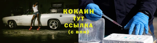 СК Сафоново