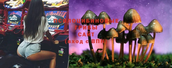 ПСИЛОЦИБИНОВЫЕ ГРИБЫ Горнозаводск